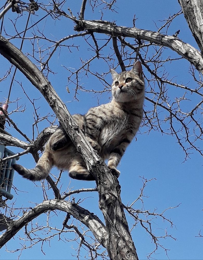 Photograph by abolfazl shahmiry