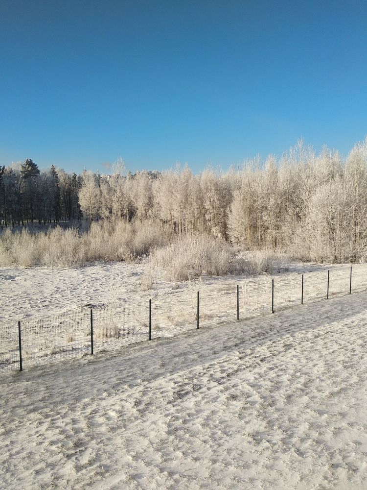 Photograph by Екатерина Радюкевич