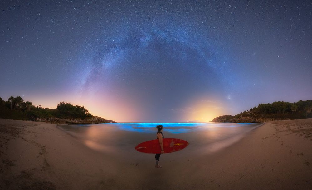 Surfing the bioluminescence