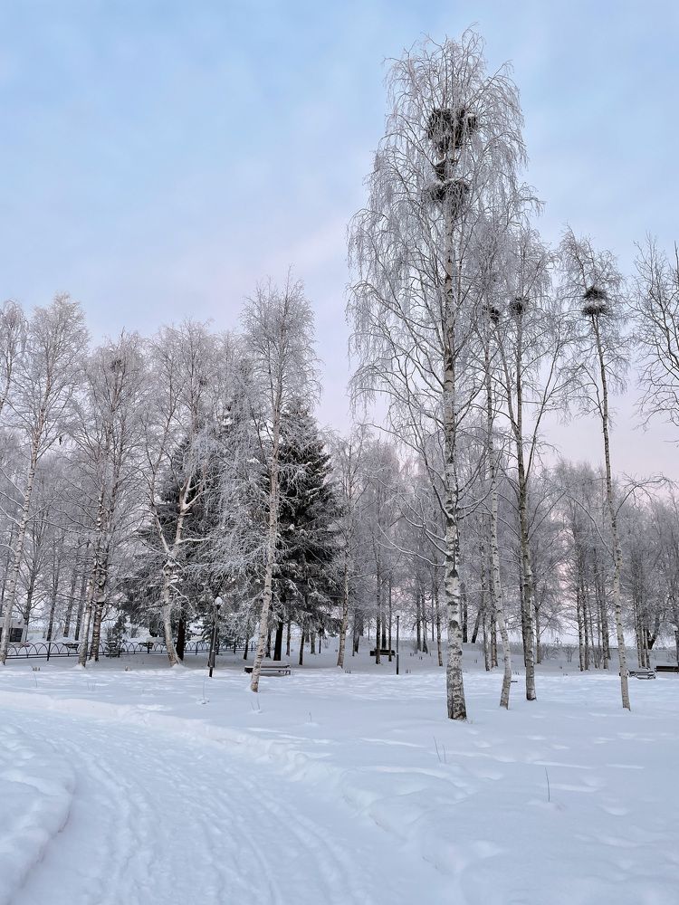 Photograph by Юлия