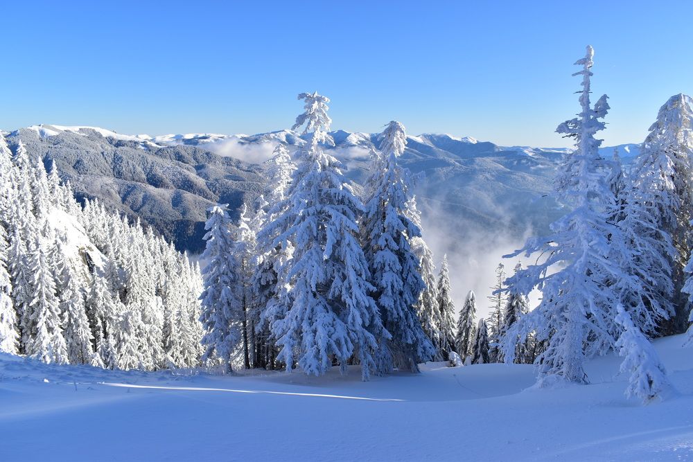 Зима в Карпатах