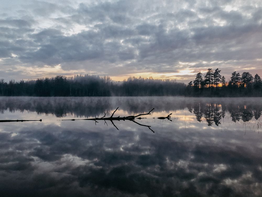 Photograph by Никитина Елена