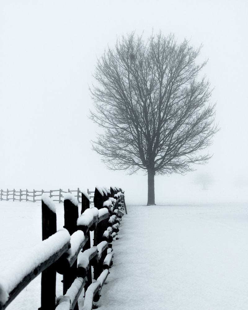 Photograph by Елизавета Калинина