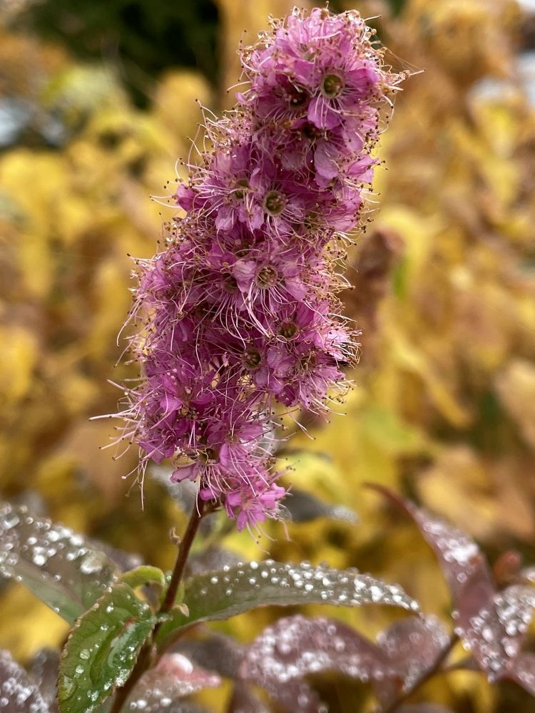 Photograph by Юлия