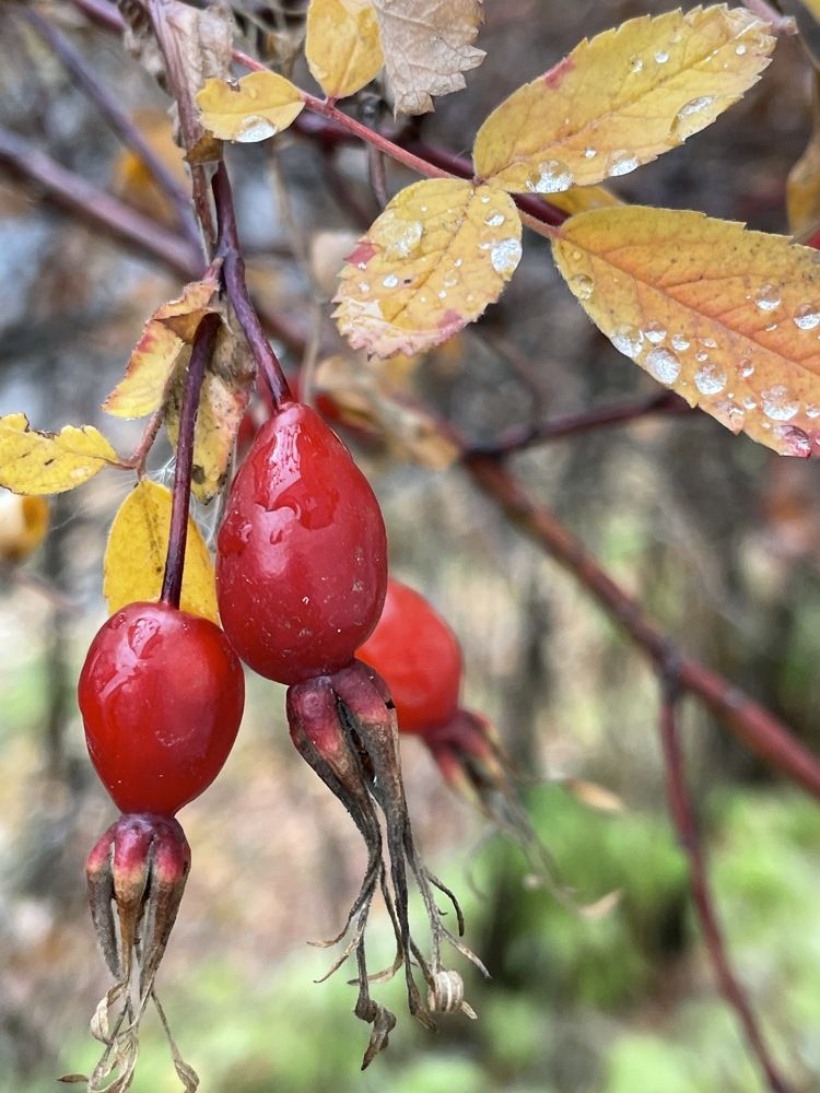 Photograph by Юлия