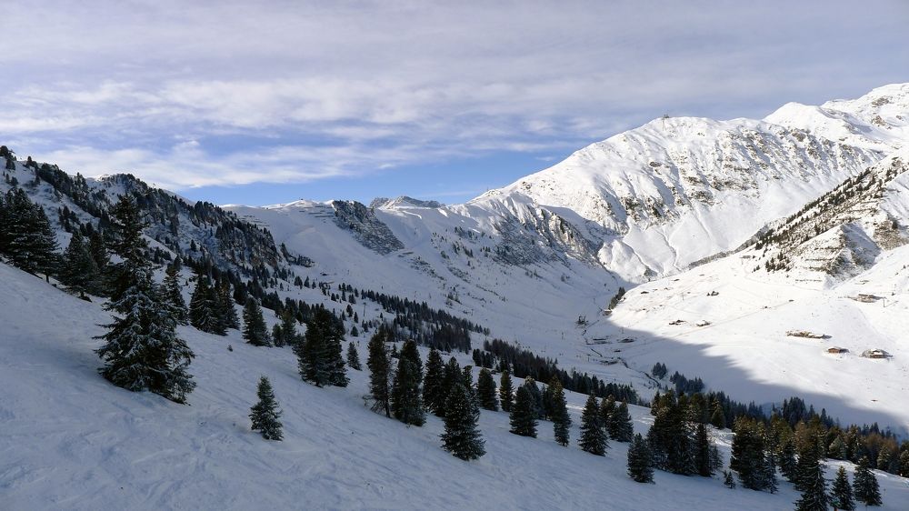 Photo #6947590
