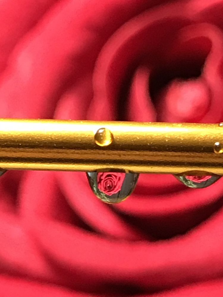 Red rose reflection in a water drop