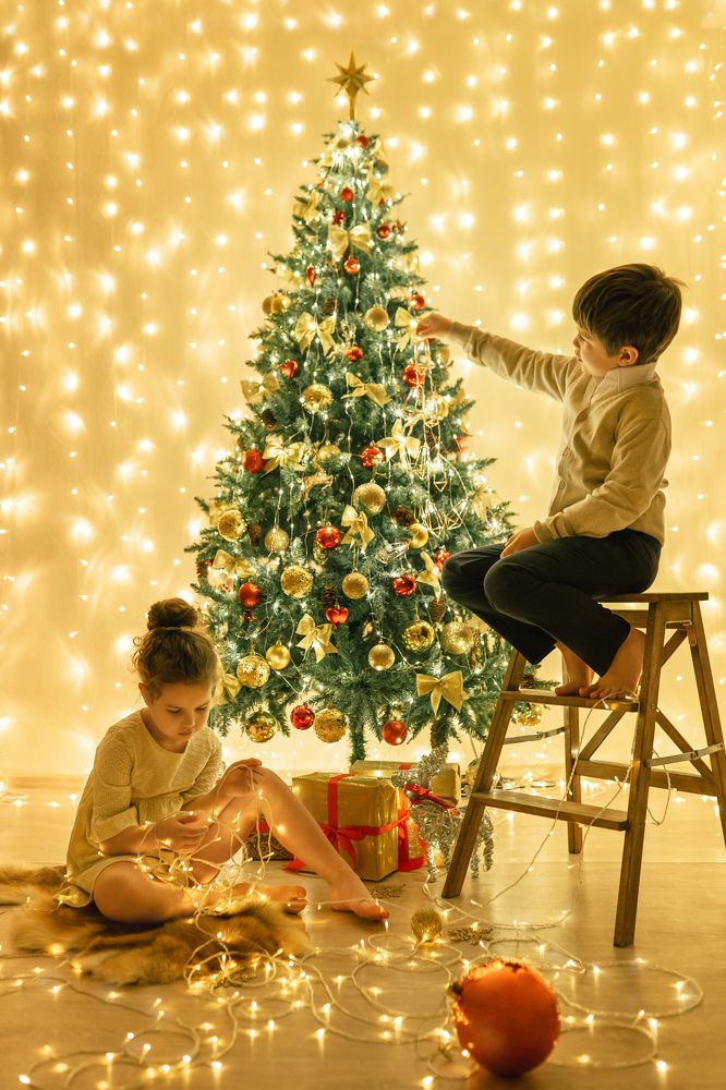 Фотография автора Евгения Шаравар