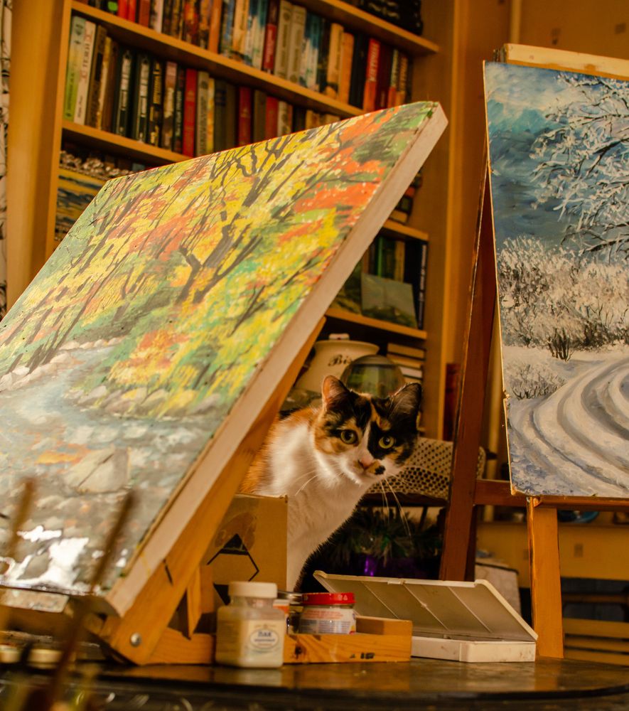 Жизнь с красками