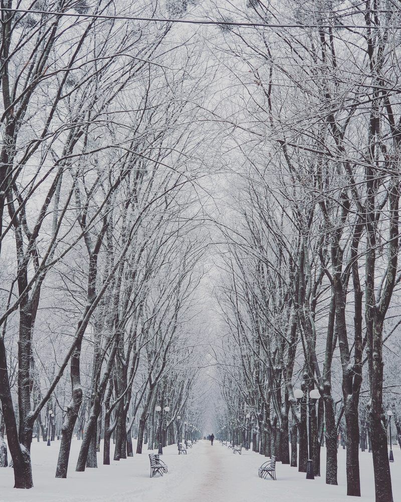 Photograph by Вадим Семенов