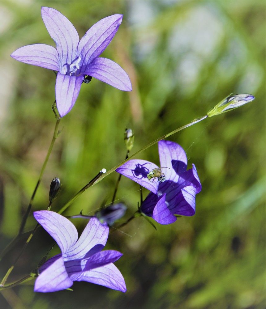 Фотография автора Альбина Хвастунова