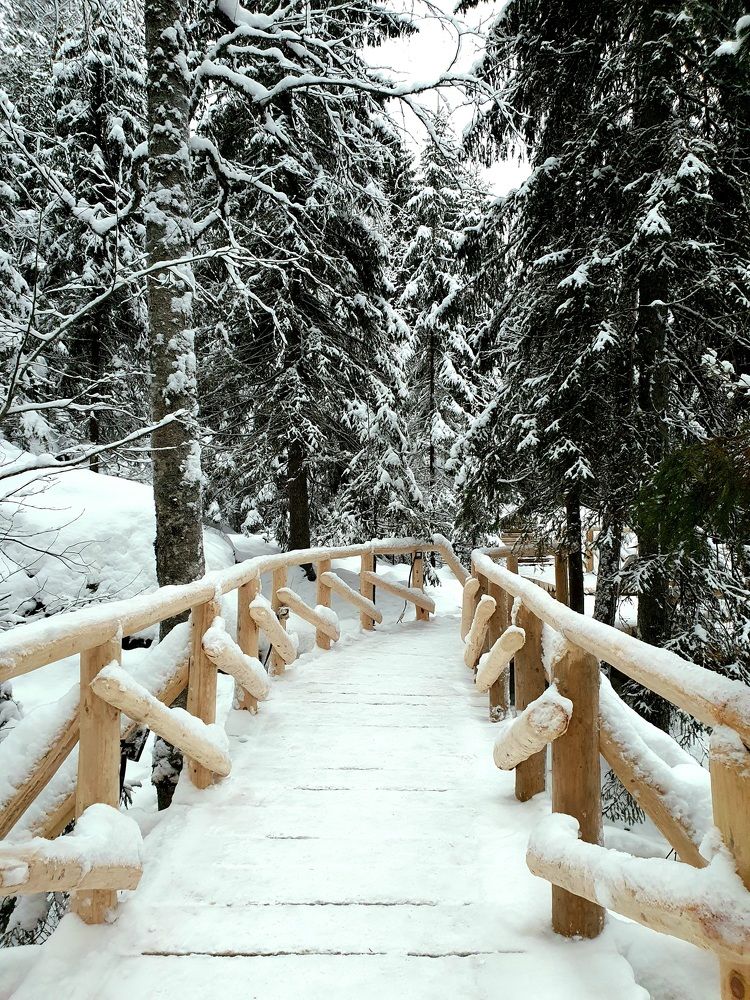 Photograph by Владимир Колатухин