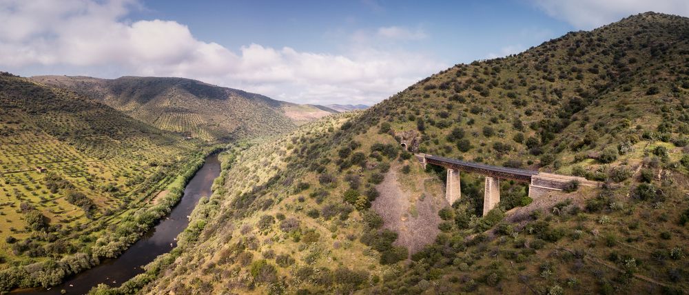 Фотография автора Pedro Mesonero