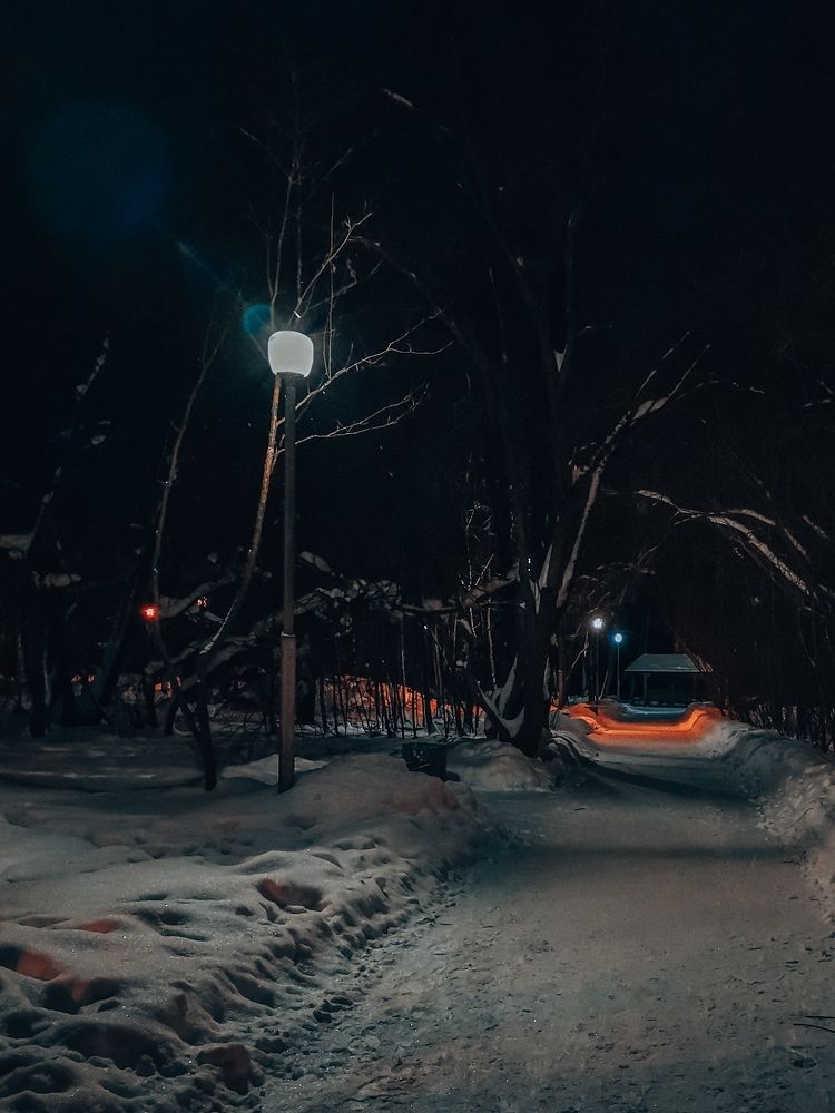 Photograph by Власова Ольга Николаевна