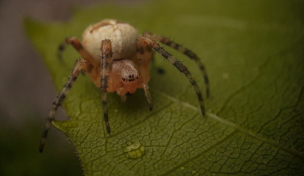Фотография автора Юля Савельева