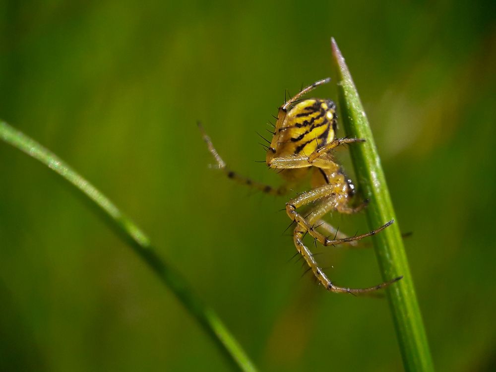 Фотография автора Юля Савельева