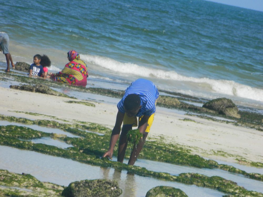 Photograph by Joseph Njau