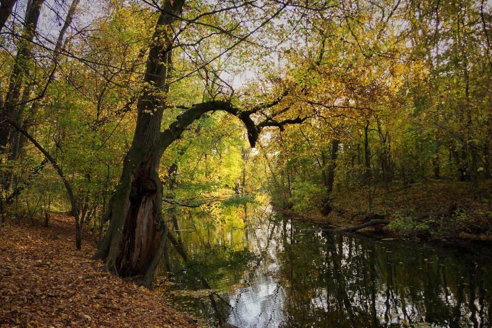 Photograph by Мария Колоскова