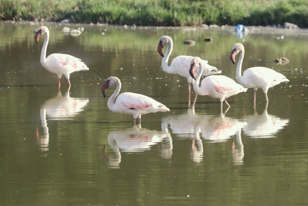 Photograph by Sugha Bapodara