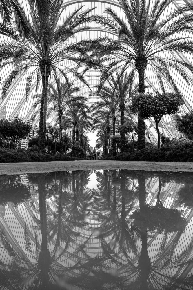 Photograph by Luis Sergio Goncalves