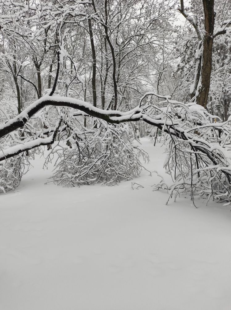 Photograph by Ольга Капко