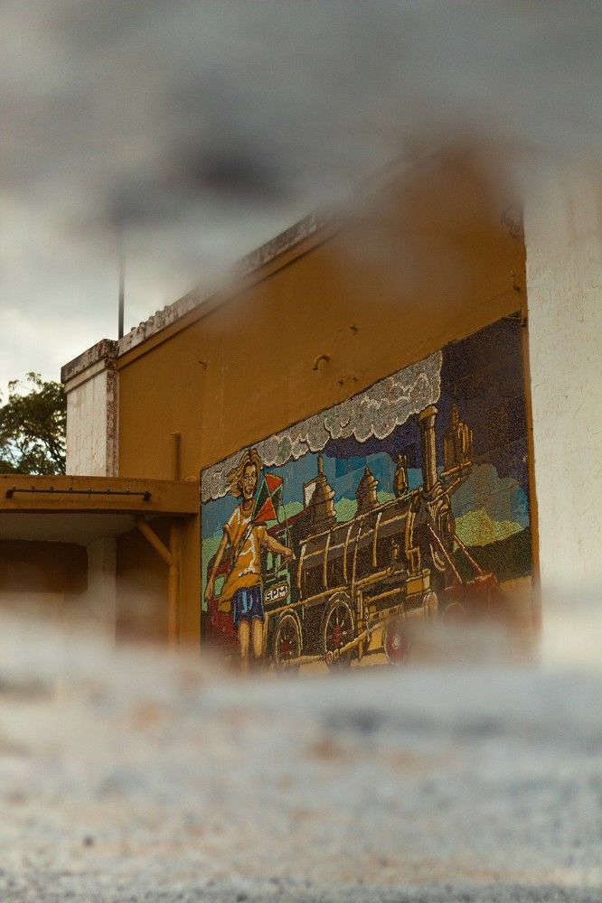 Photograph by Onival Amaro