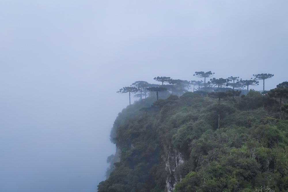 Photograph by Vinicius Dattwyler