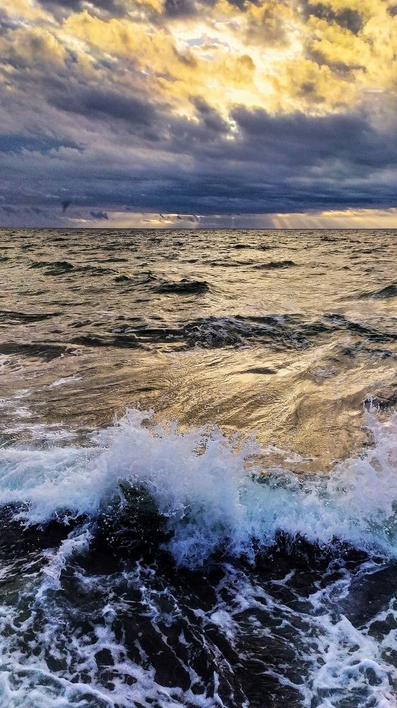 Photograph by Ольга Капко