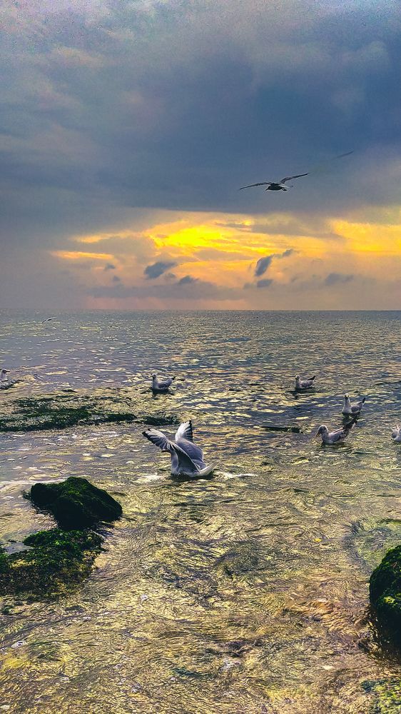 Photograph by Ольга Капко