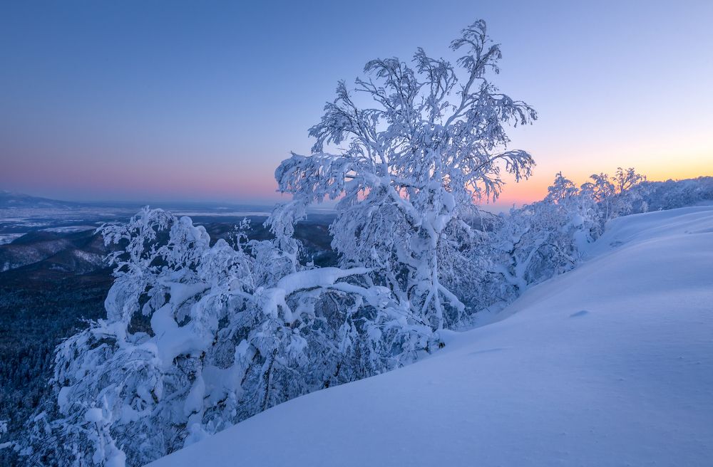 Photograph by Артем Удодов