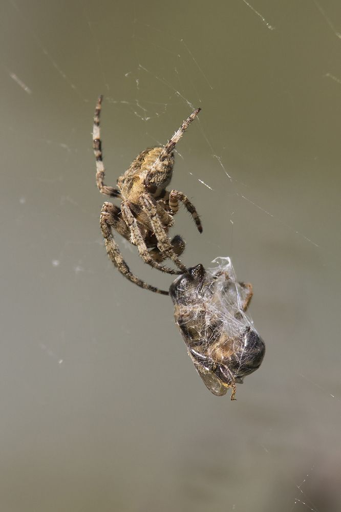 Photograph by Волгина Елена