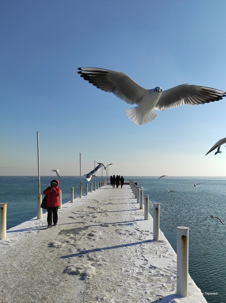 Photograph by Ольга Капко