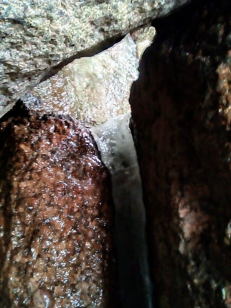 Photograph by Irina Mihailovskaya