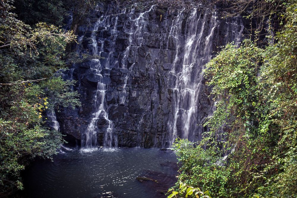 Photograph by Kamal Bhattacharjya