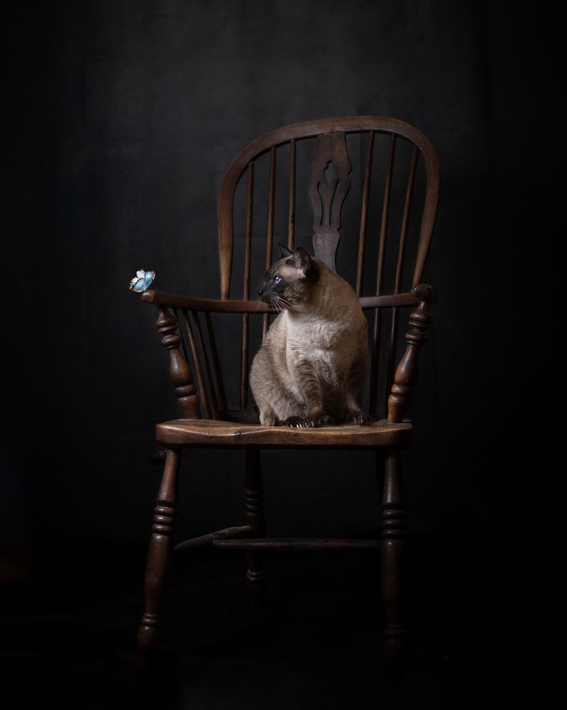 Photograph by LYUDMYLA POKRYSHEN