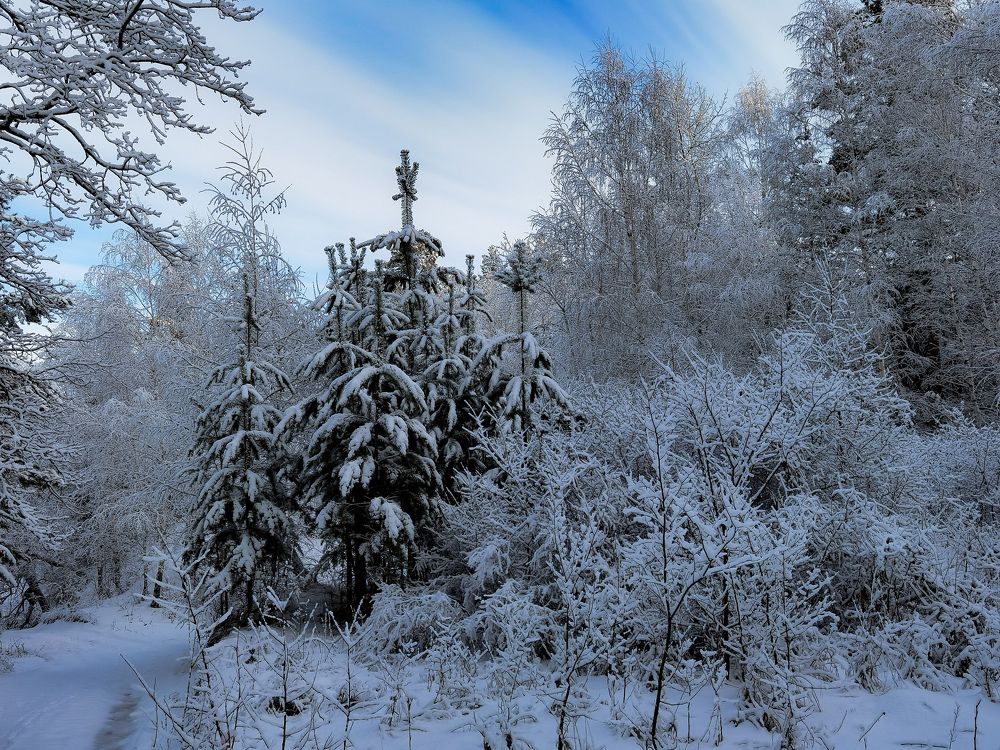 Photograph by Горбунов Сергей