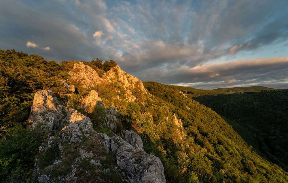 Photograph by Ladislav Szabó