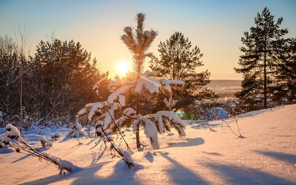 Photograph by Алёна Топорова