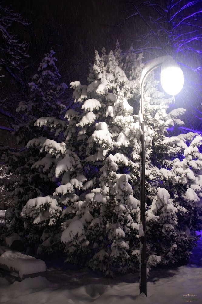 Photograph by Мария Мягкая