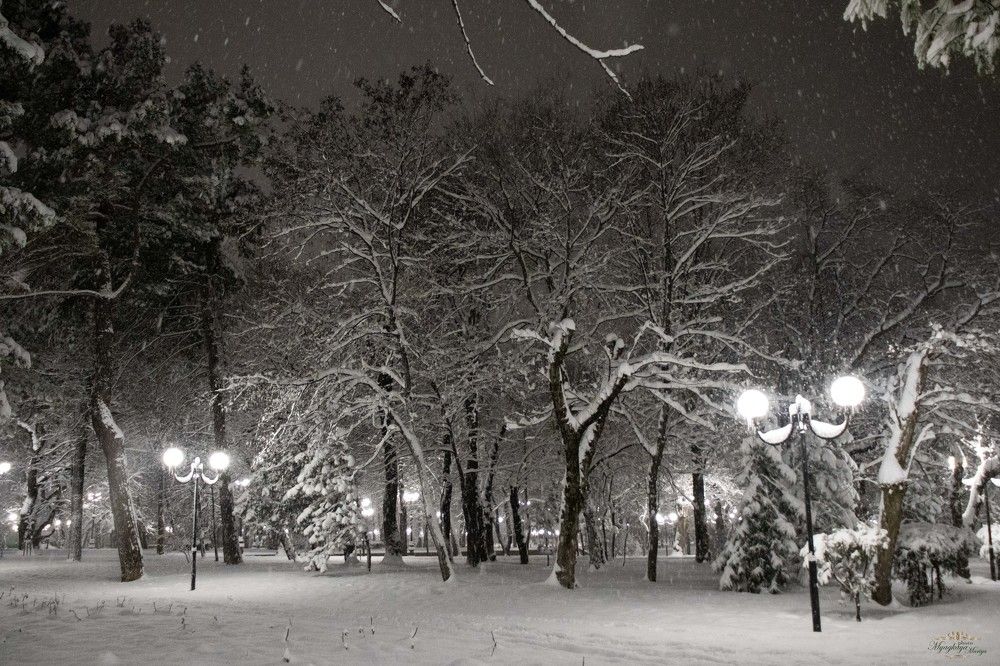 Photograph by Мария Мягкая