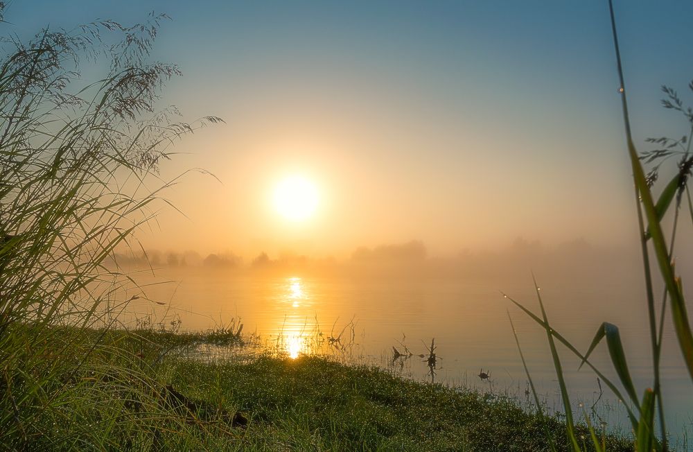 Photograph by Арсений Чекмарёв