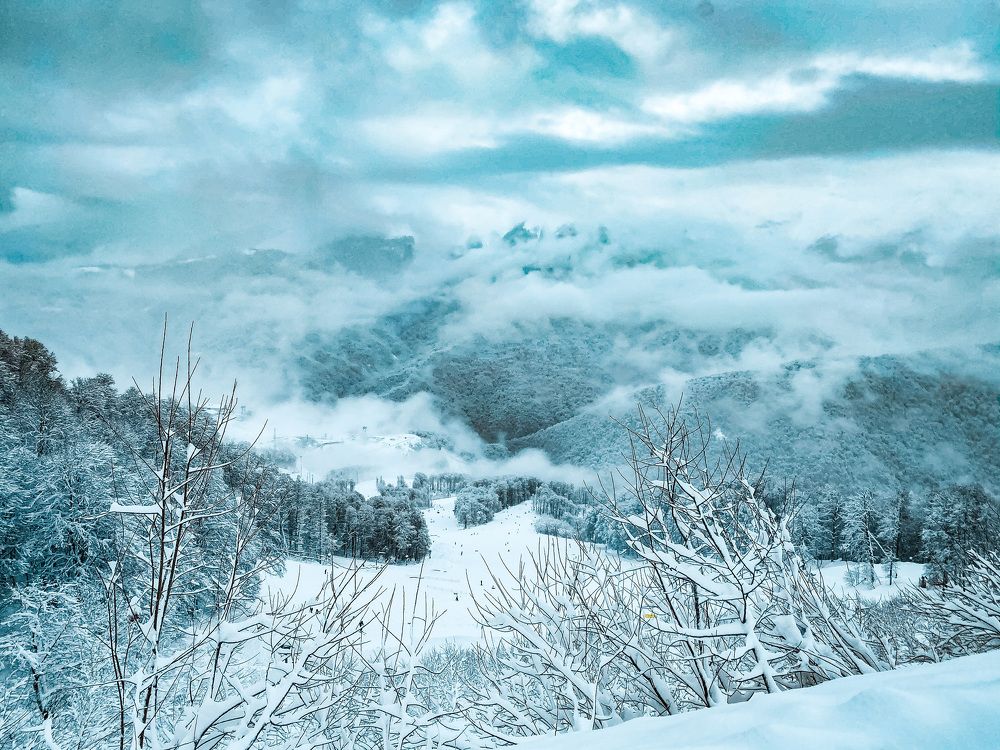 Photograph by Victoria Taperova