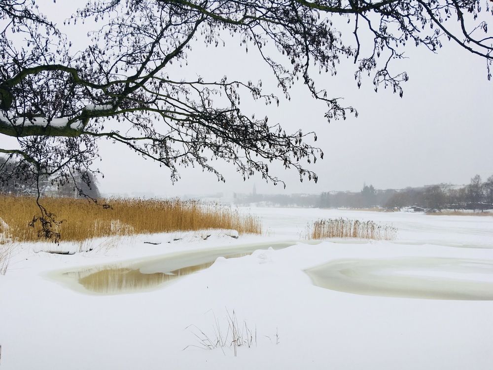 Photograph by Екатерина Мосолова