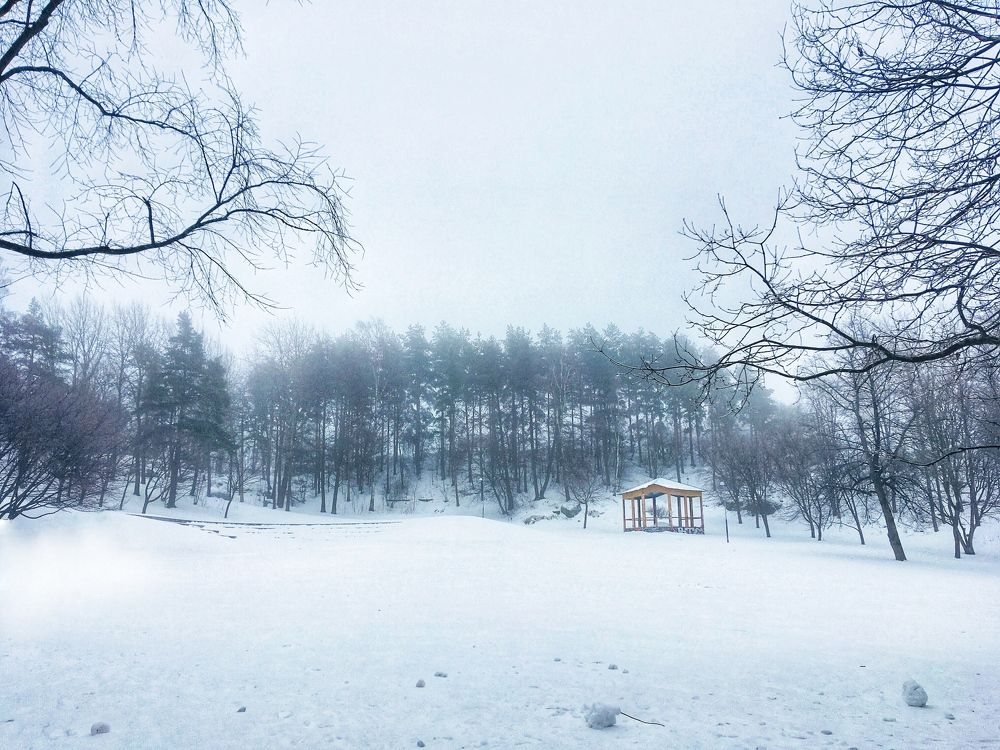 Photograph by Екатерина Мосолова