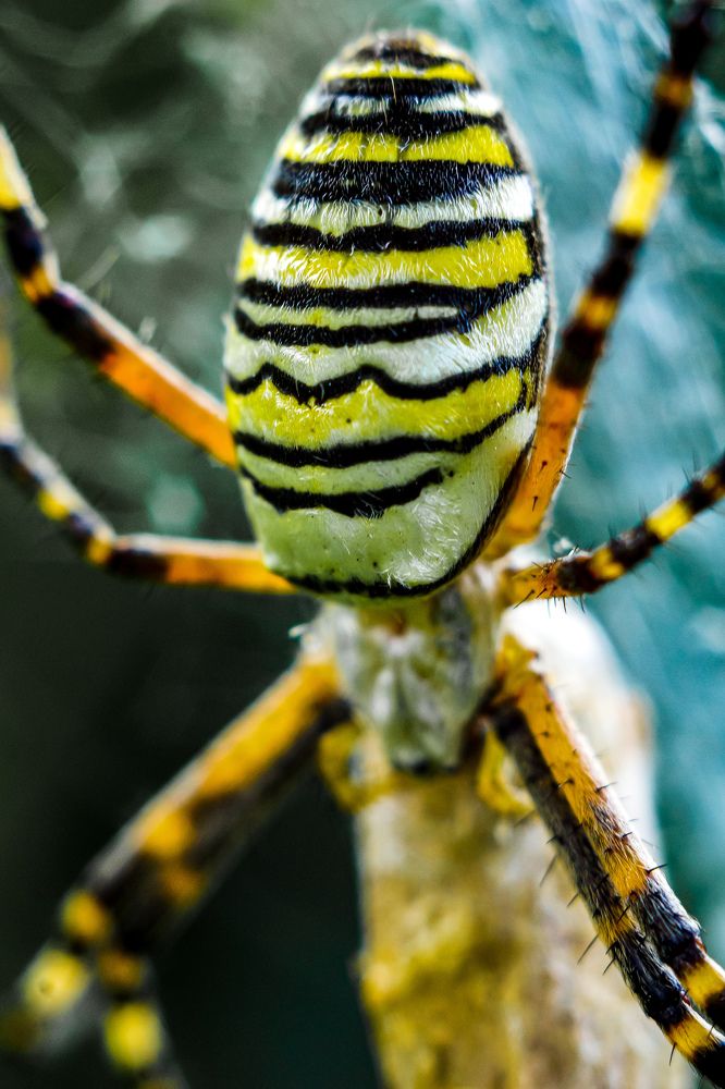 Photograph by Александр Казак