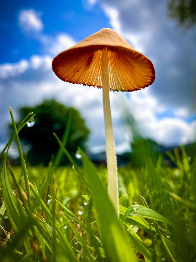 Photograph by Gargee Chowdhury