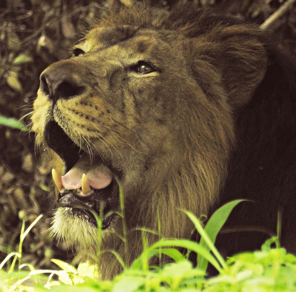 Photograph by Jay Sharan