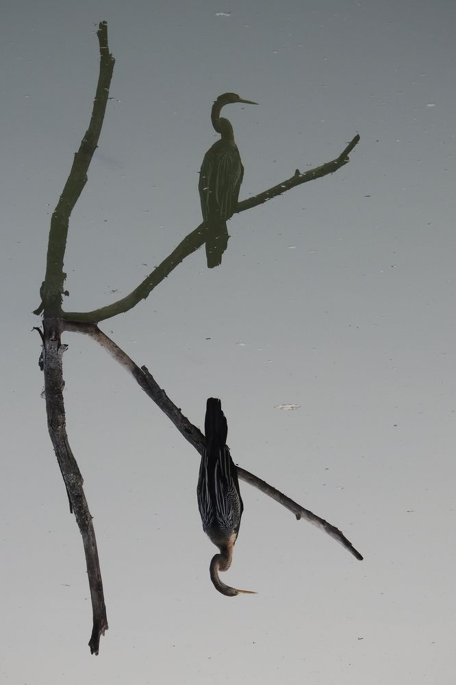 Photograph by Jay Sharan