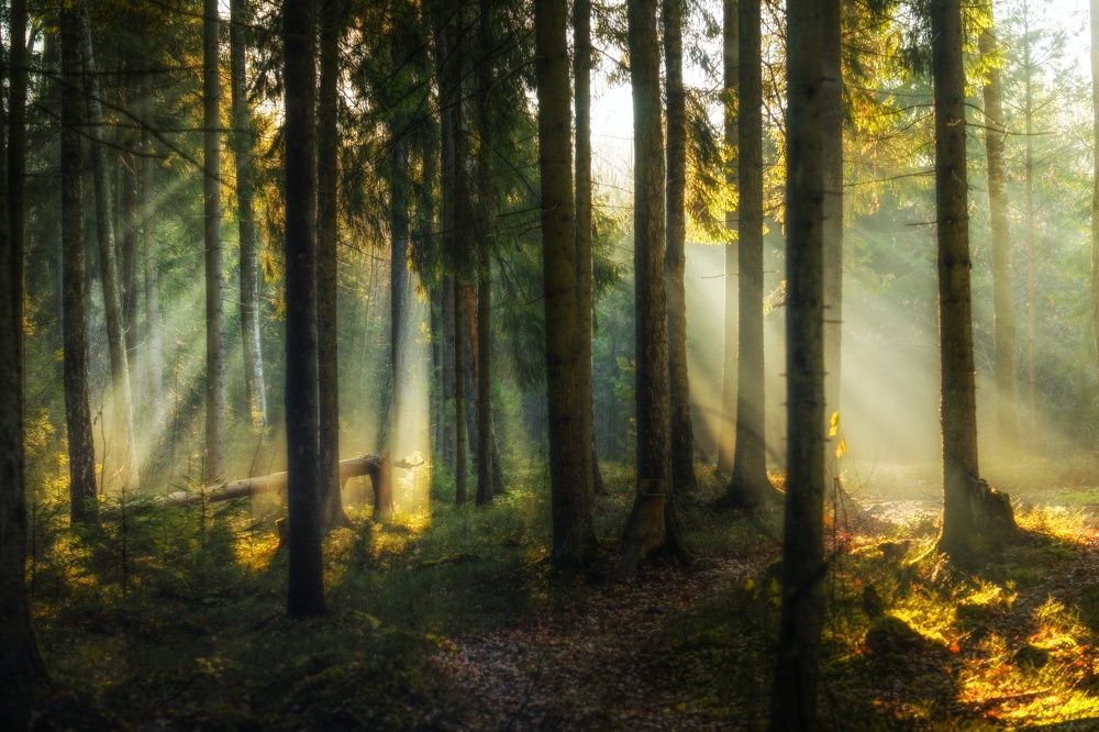 Фотография автора Андрей