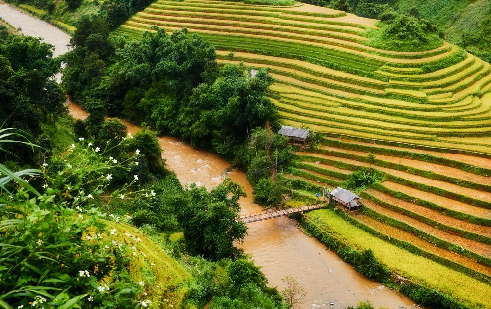 Photograph by Hung Le Thanh